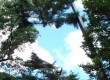 DSC00016 - Copy