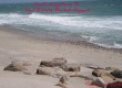 South Kingstown Real Estate Market Report - Rhode Island Real Estate