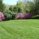 1710 Stony Lane North Kingstown RI 02852 1710 Stony Lane North Kingstown RI 02852