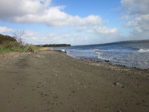 Duck Cove Neighborhood - North Kingstown Real estate Duck Cove - North Kingstown RI