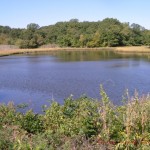Bissel Cove North Kingstown Bissel Cove