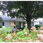 Challenging Home