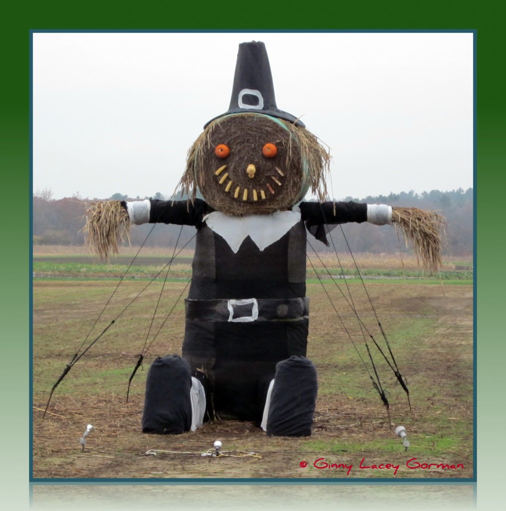 Pilgrims Come in All Shapes and Sizes in RI Pilgrims in Rhode Island real estate at Thanksgiving