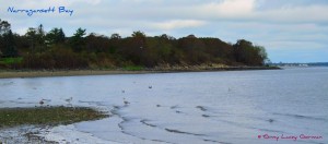 Narragansett Bay - RI real estate