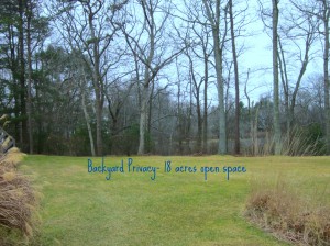 Backyard at 56 Deerfield Court - North Kingstown RI Condo real estate for sale