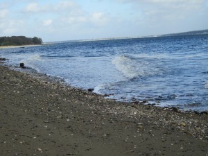 South Kingstown Real Estate flood zones