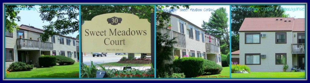 Sweet Meadows Narragansett collage