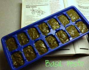 Basil Pesto Recipe | RI Coastal Real Estate Agent food