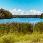 Waterfront South Kingstown RI Colonial Home for Sale 90 Barbers Pond Rd.