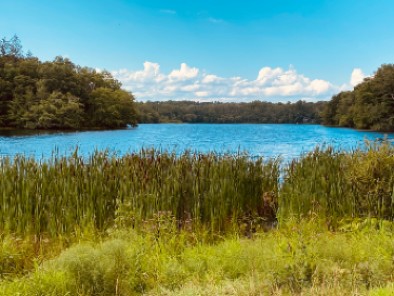 Waterfront South Kingstown RI Colonial Home for Sale 90 Barbers Pond Rd.